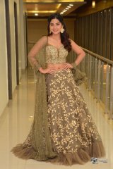 Kashmira at Nartanasala Pre Release Event